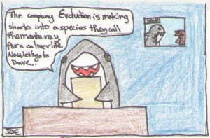 Shark-News-Manta-Ray-300x197